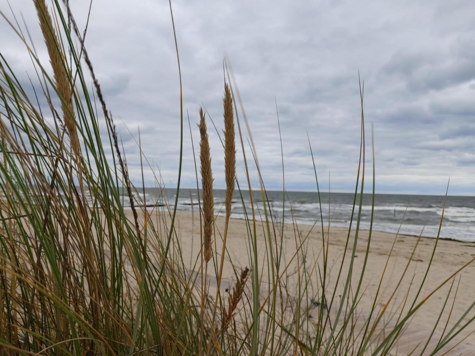 Ostsee Ferienhaus Usedom Hundefreundlich Familie Stopp Haus 22 Lutow Eksteriør billede